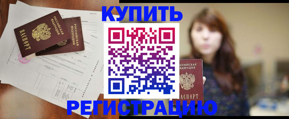 прописка поиск в Александровске